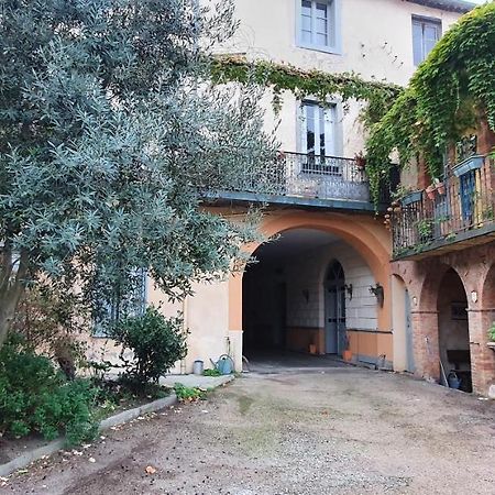 Un Petit Coin De France : A Cote De La Cite Medievale Leilighet Carcassonne Eksteriør bilde
