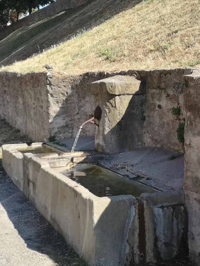 Un Petit Coin De France : A Cote De La Cite Medievale Leilighet Carcassonne Eksteriør bilde